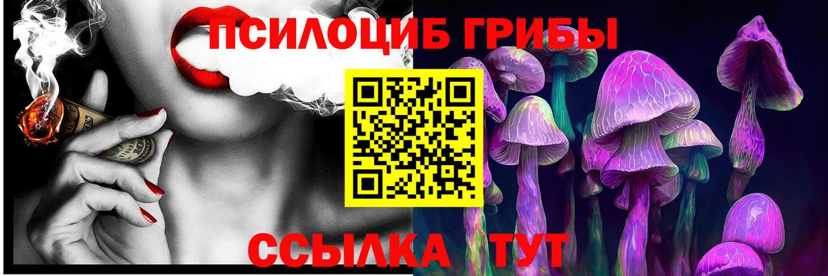 Обнинск  Галлюциногенные грибы Psilocybe  Вход с VPN 